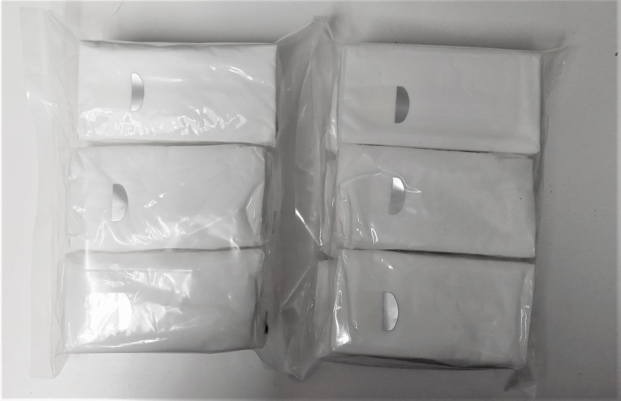 Pocket Pack Mini Facial Tissues (2 packs of 6)