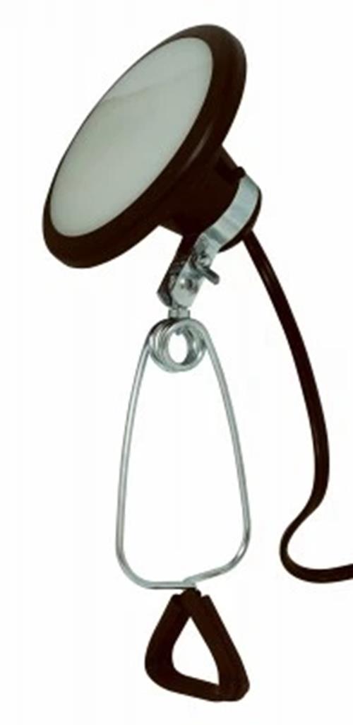 Master Electrician Clamp Light, 8w, 600 Lumens Cl20600me