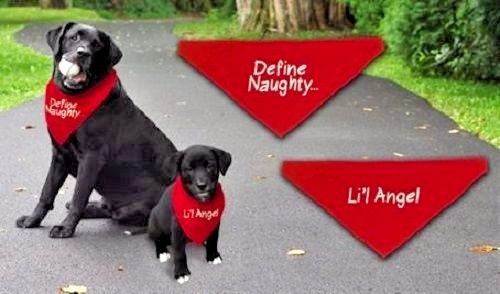 Cobble Creek 5162 Reversible Pet Bandana "Define Naughty" - "Lil Angel"