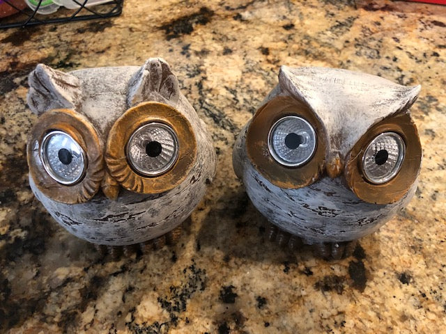 Forest Friends 37880 Solar Owl Solar Powered Eyes Garden Statue 2 pcs